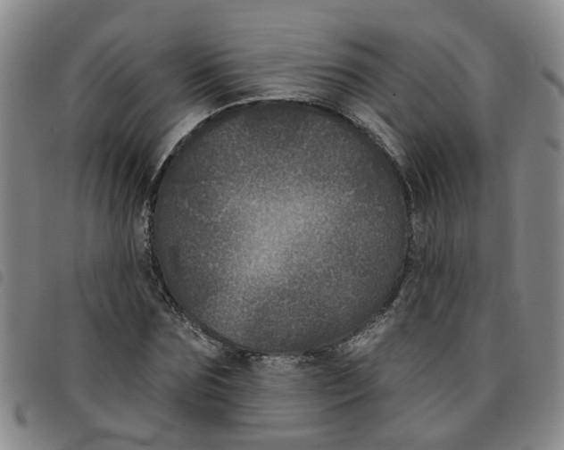 X0000097470875200803141911