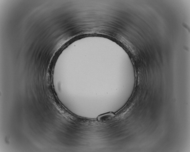 X0000097470876200803141911