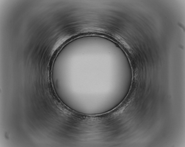X0000097470877200803141911