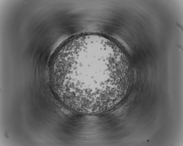 X0000097470878200803141911