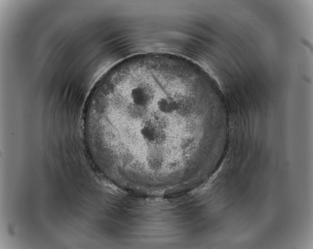 X0000097470879200803141911