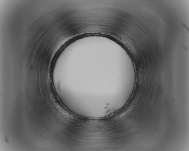 X0000097470880200803141911