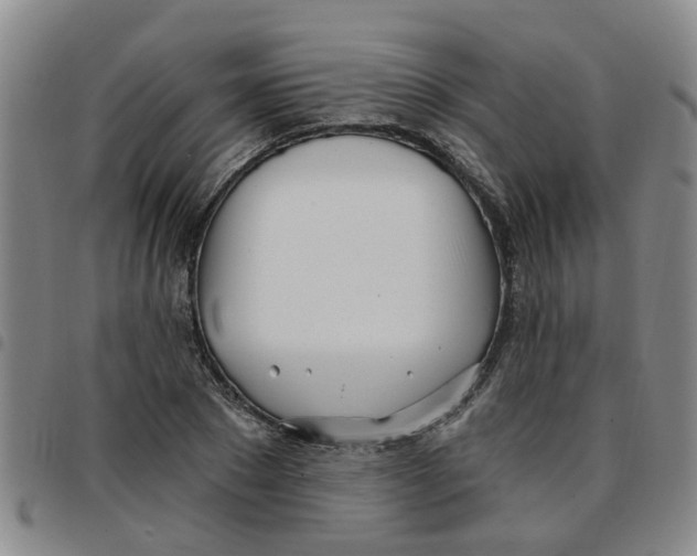 X0000097470881200803141911