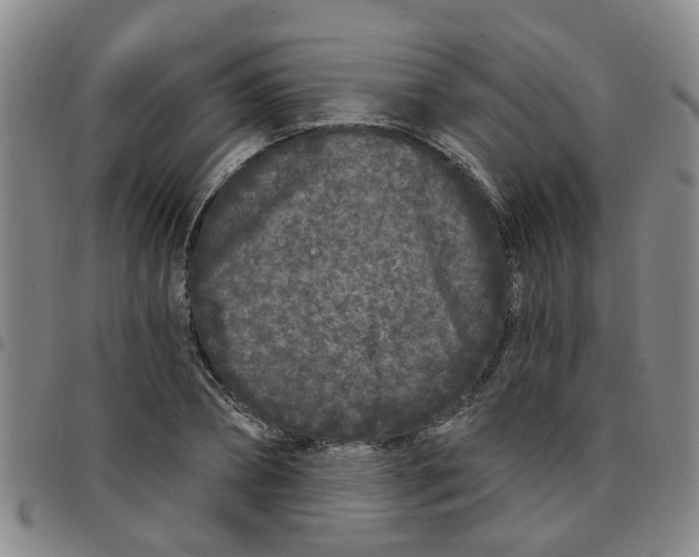 X0000097470882200803141911