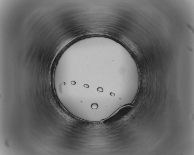 X0000097470884200803141911