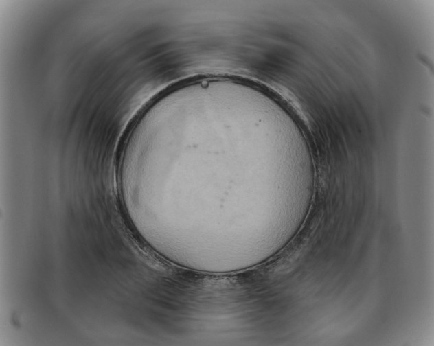 X0000097470887200803141910
