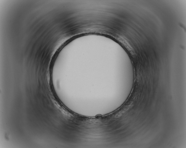 X0000097470888200803141910