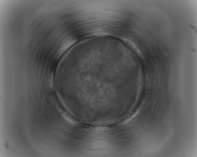X0000097470889200803141910