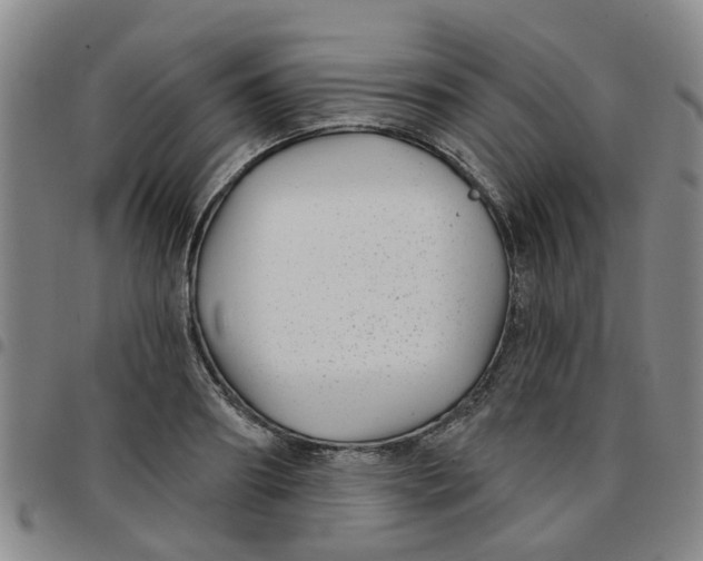 X0000097470890200803141910