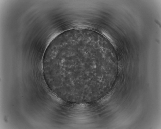 X0000097470891200803141910