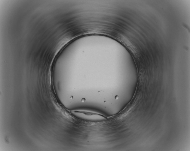 X0000097470892200803141910