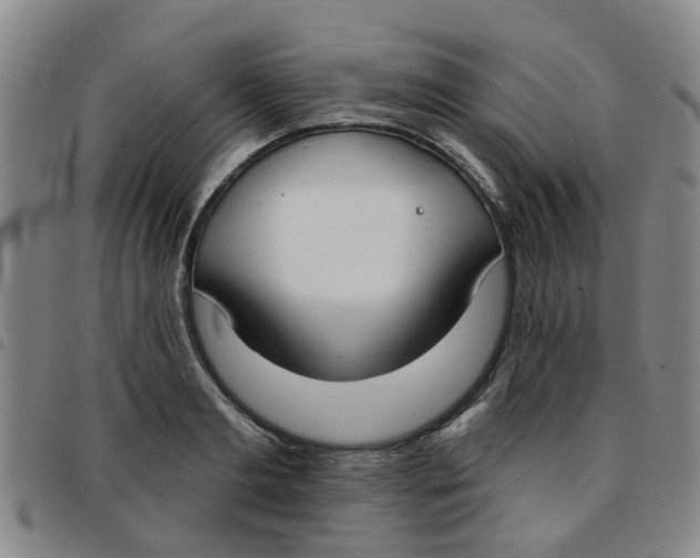 X0000097470893200803141910