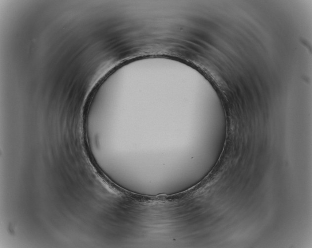 X0000097470894200803141910