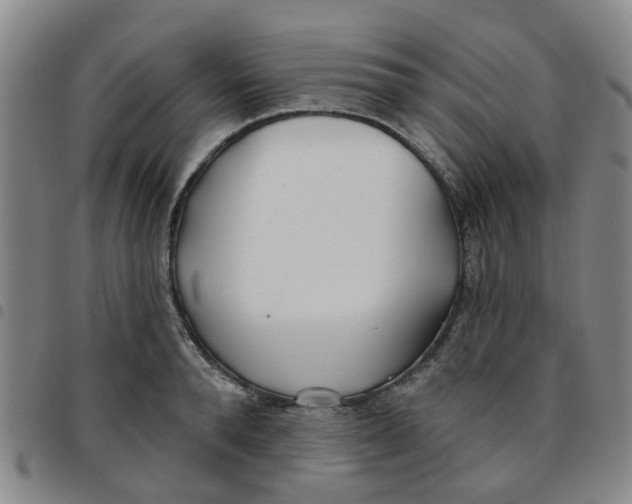 X0000097470896200803141910