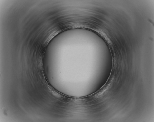 X0000097470897200803141910