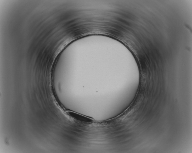 X0000097470898200803141910