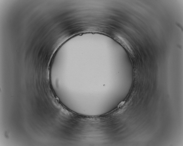 X0000097470900200803141910