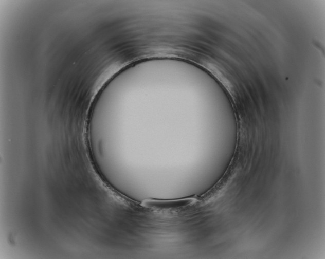 X0000097470901200803141910