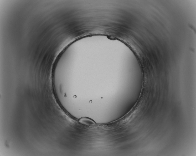 X0000097470902200803141910