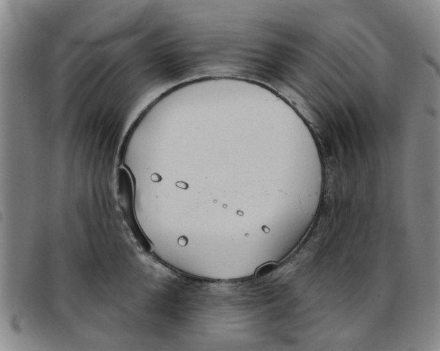 X0000097470904200803141910