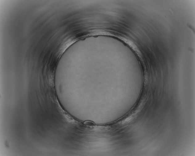 X0000097470905200803141910