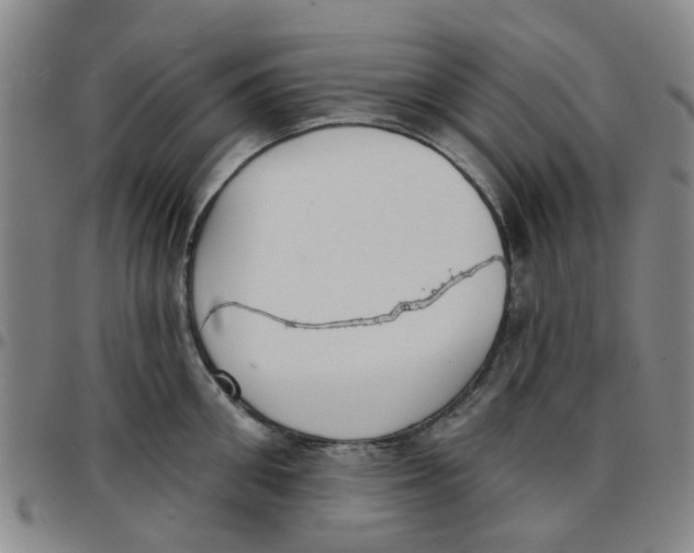X0000097470906200803141910