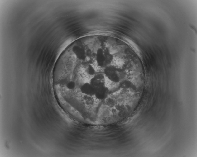 X0000097470907200803141910