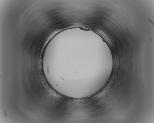 X0000097470908200803141910