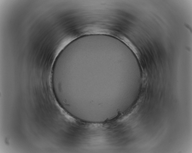 X0000097470909200803141910