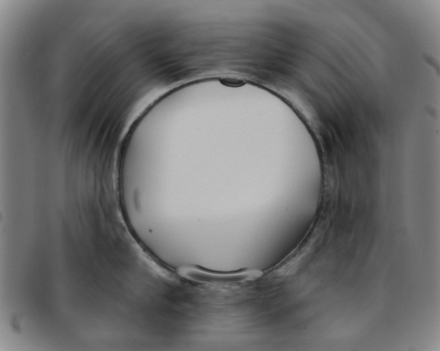 X0000097470910200803141910