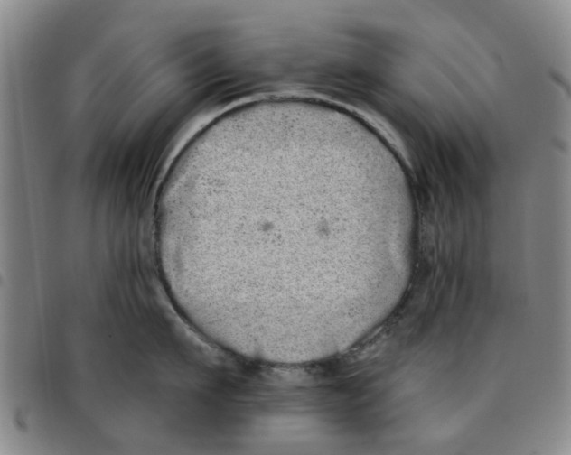 X0000097470911200803141910