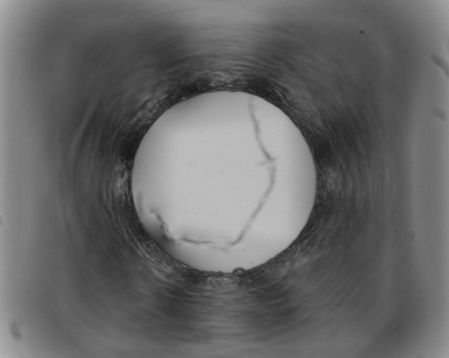 X0000097470914200803141910