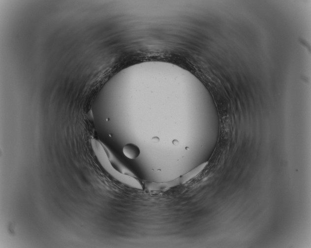 X0000097470916200803141910