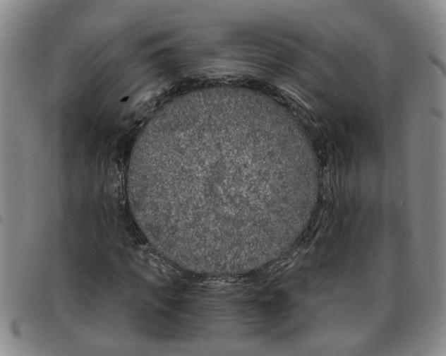 X0000097470917200803141910