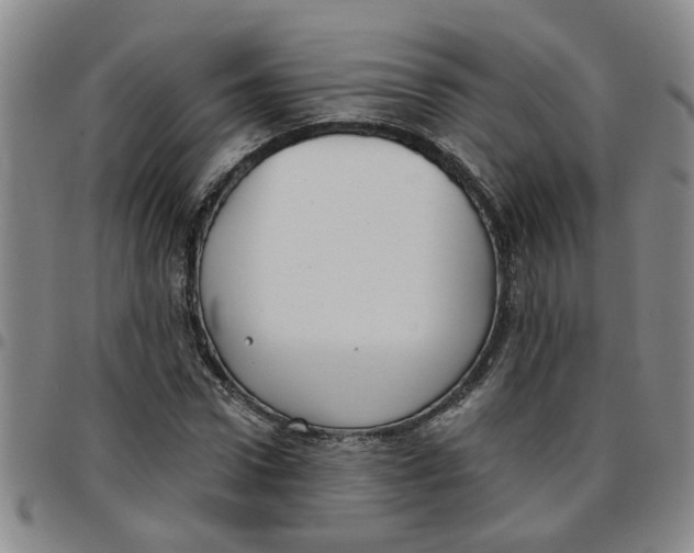 X0000097470922200803141910