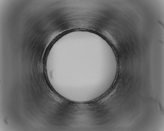 X0000097470924200803141910