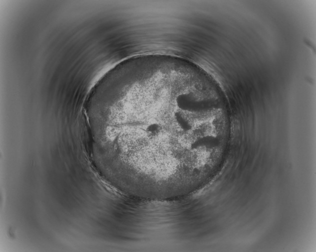 X0000097470925200803141910