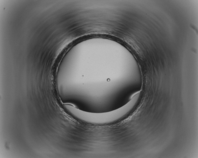 X0000097470926200803141910