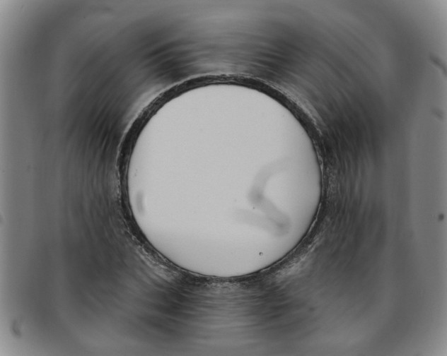 X0000097470927200803141910