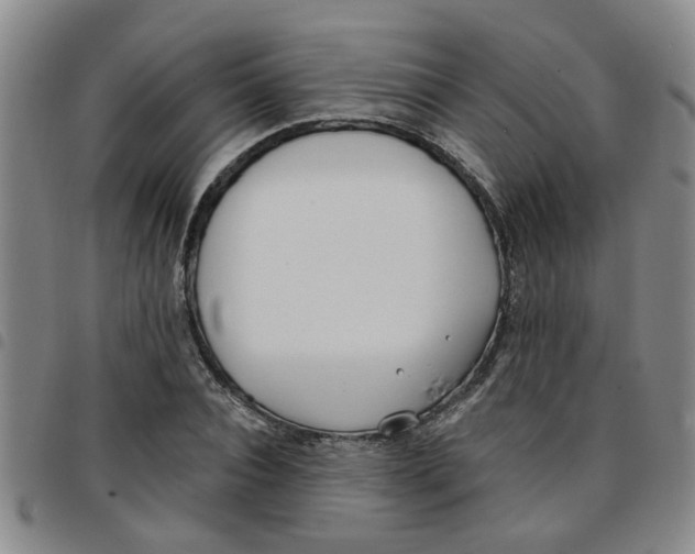X0000097470928200803141910