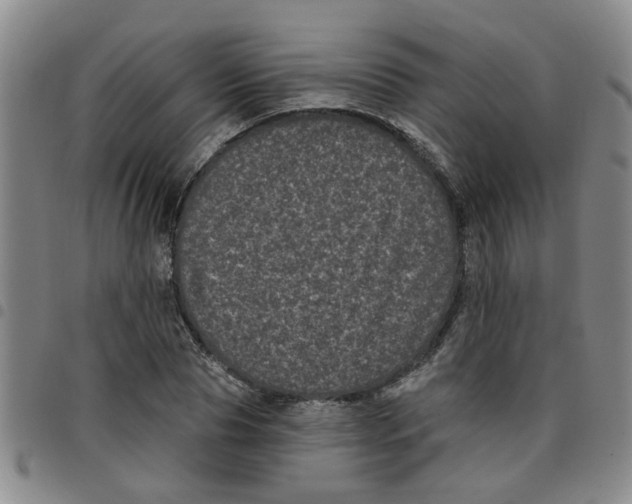 X0000097470929200803141910