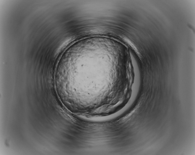 X0000097470930200803141910