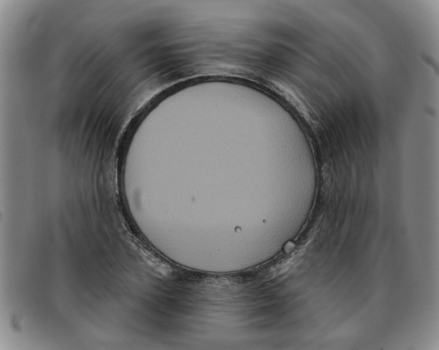 X0000097470931200803141910