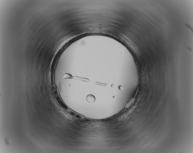 X0000097470932200803141910