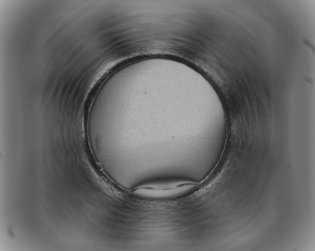 X0000097470934200803141910