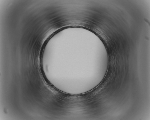 X0000097470936200803141910