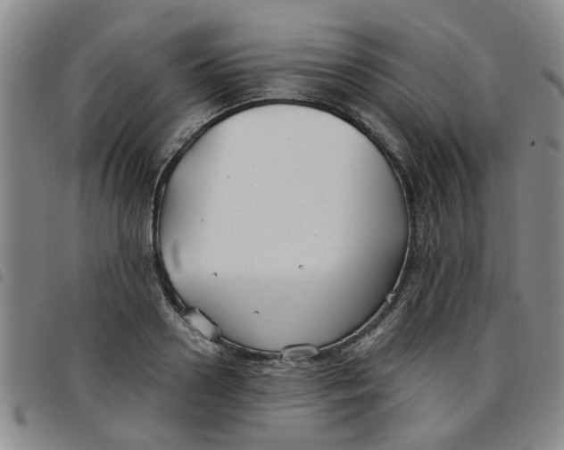 X0000097470938200803141910