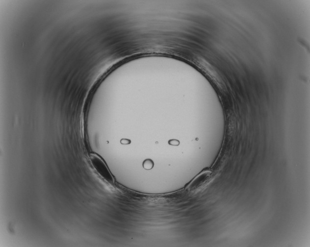 X0000097470940200803141910