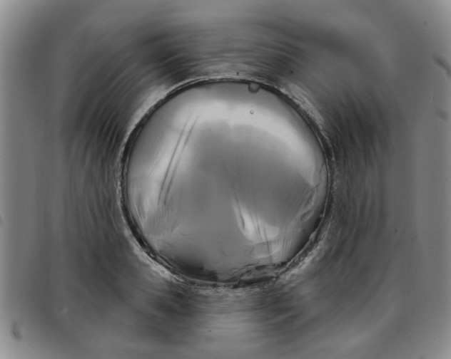X0000097470941200803141910