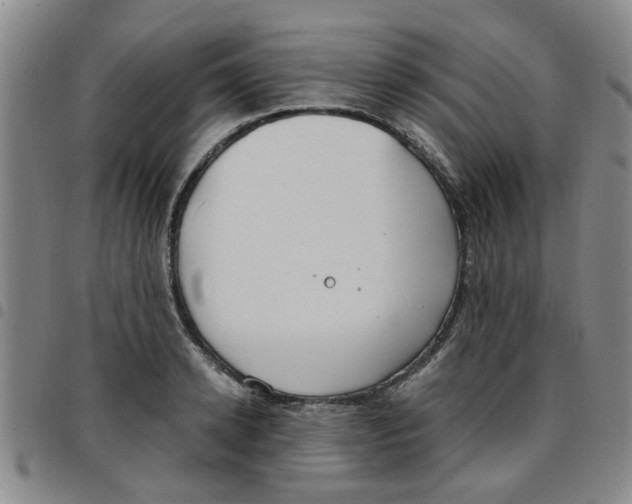 X0000097470942200803141910